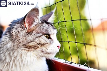 Siatki Boguszów-Gorce - Siatka na balkony dla kota i zabezpieczenie dzieci dla terenów Boguszowa-Gorców