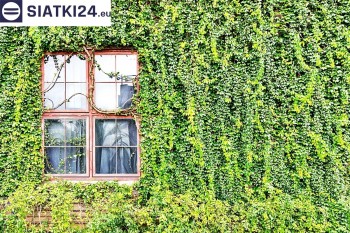 Siatki Boguszów-Gorce - Siatka z dużym oczkiem - wsparcie dla roślin pnących na altance, domu i garażu dla terenów Boguszowa-Gorców